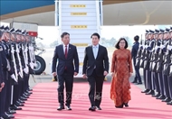 State President Luong Cuong arrives in RoK for APEC Economic Leaders’ Week